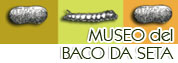 Museo del Baco da Seta